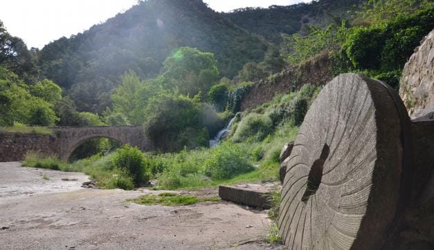 The Hiking Trail through the Mediterranean Jungle of Espadán region of Valencia